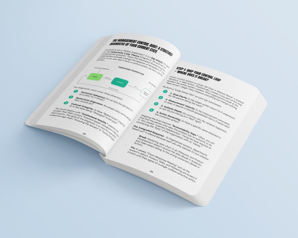 Management Control Systems Explained - Image 9
